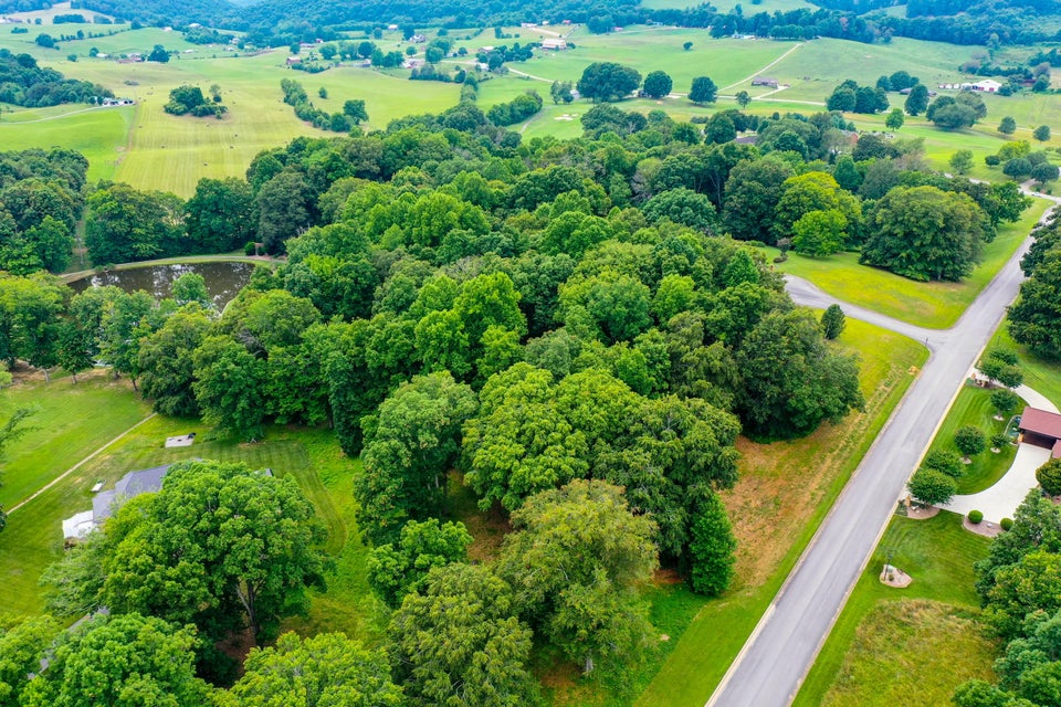 Photo #14: Lt 17 Chimney Top Lane