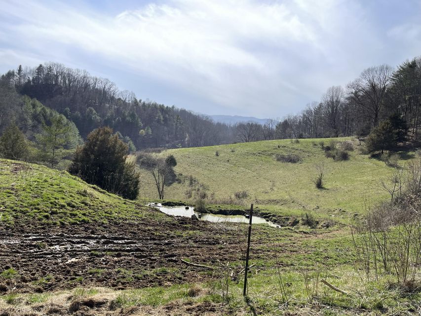 Photo #45: 4532 Dry Hill Road