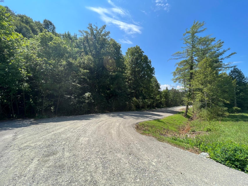 Photo #21: Tbd 67 Highway