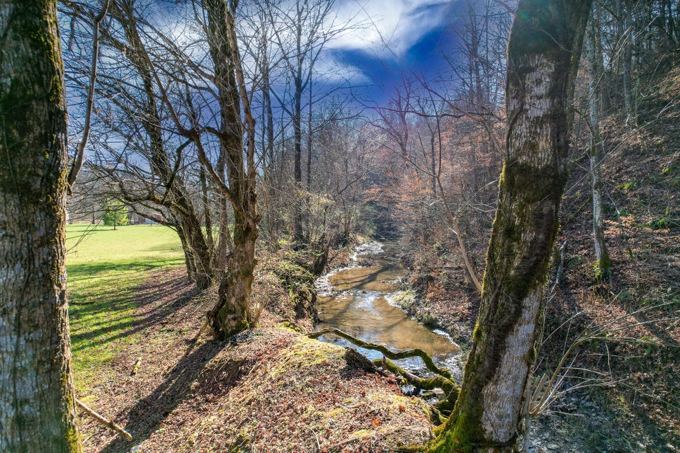 Photo #5: 3003 Knob Creek Road