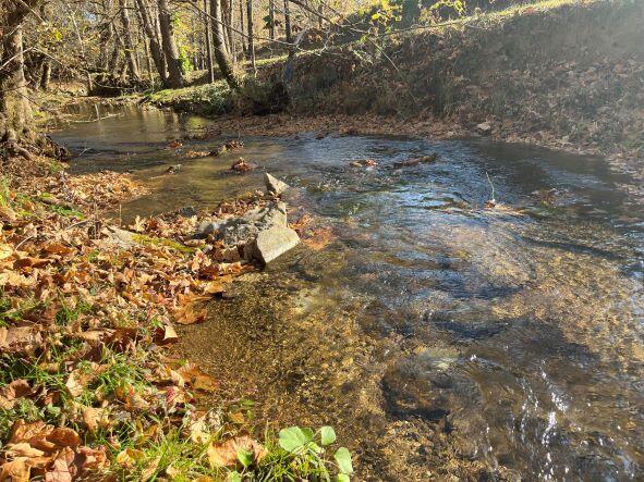 Photo #7: 3038 Shavers Ford Road 