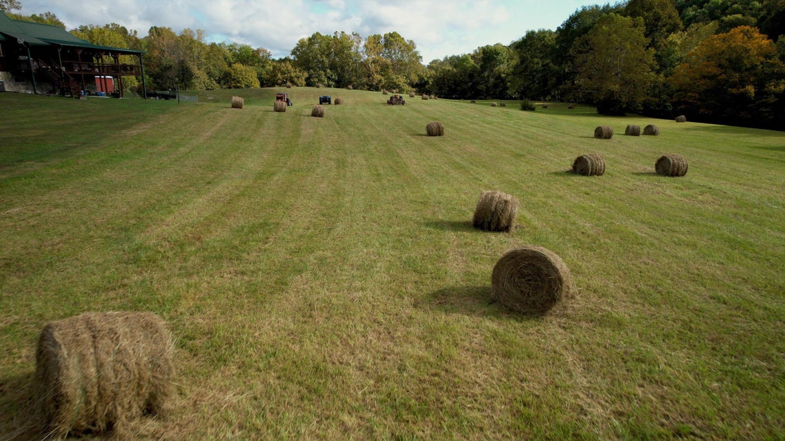 Photo #6: 3038 Shavers Ford Road 