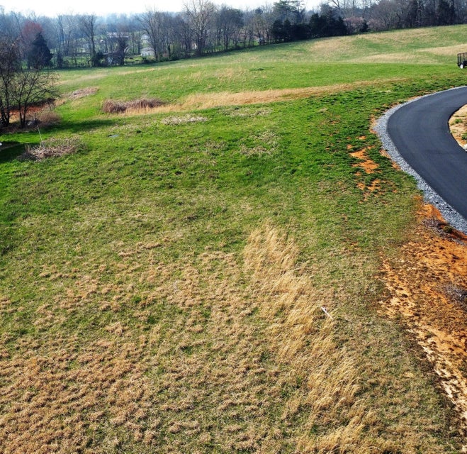 Photo #4: 00 Browning Road