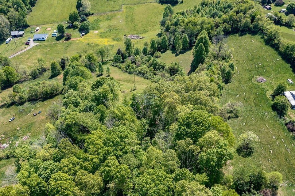 Photo #15: 280 Lester Road