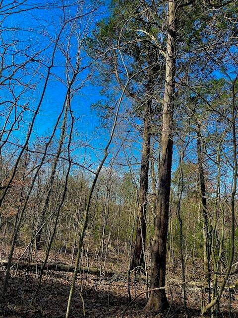 Photo #3: Tbd Sugar Hollow Trail