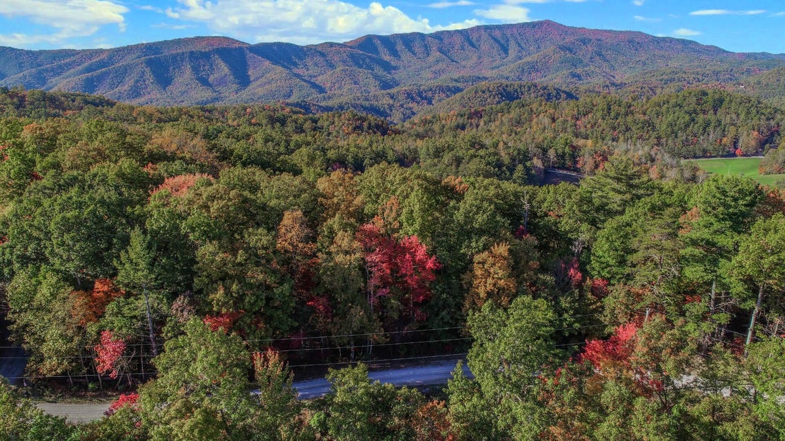 Photo #10: 29 & 29.06 Dogwood Stand Road