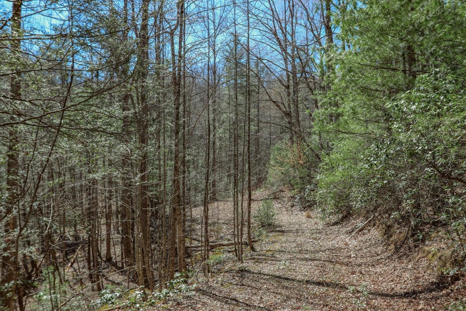 Photo #17: 29 & 29.06 Dogwood Stand Road