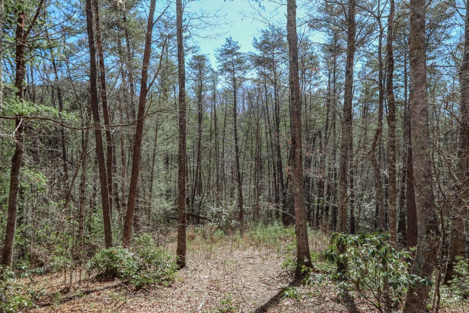 Photo #21: 29 & 29.06 Dogwood Stand Road