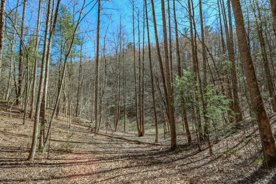 Photo #24: 29 & 29.06 Dogwood Stand Road