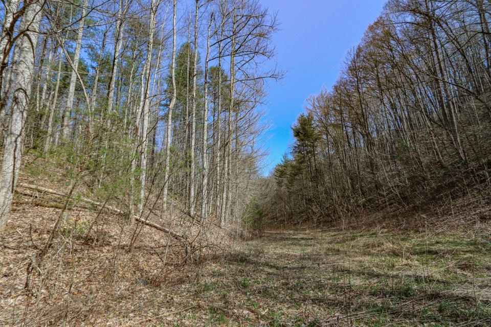 Photo #27: 29 & 29.06 Dogwood Stand Road