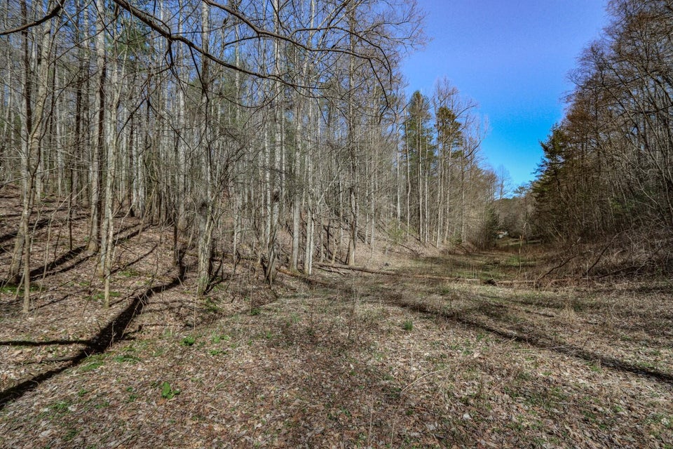 Photo #30: 29 & 29.06 Dogwood Stand Road