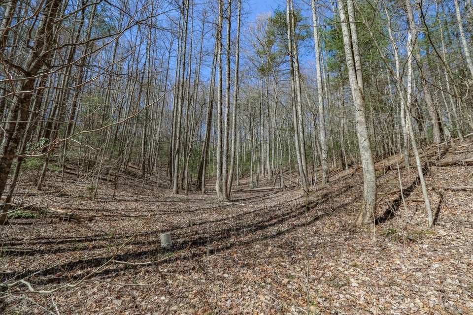 Photo #34: 29 & 29.06 Dogwood Stand Road