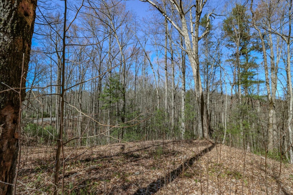 Photo #37: 29 & 29.06 Dogwood Stand Road