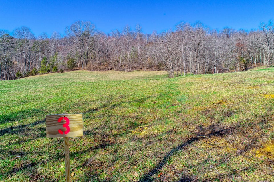 Photo #2: Lot 3 Tennessee Highway 70 S