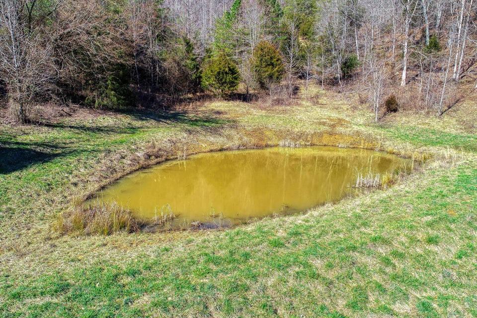 Photo #19: Lot 6 Tennessee Highway 70 S