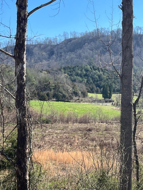Photo #12: 0000 Housewright Hollow Road Road