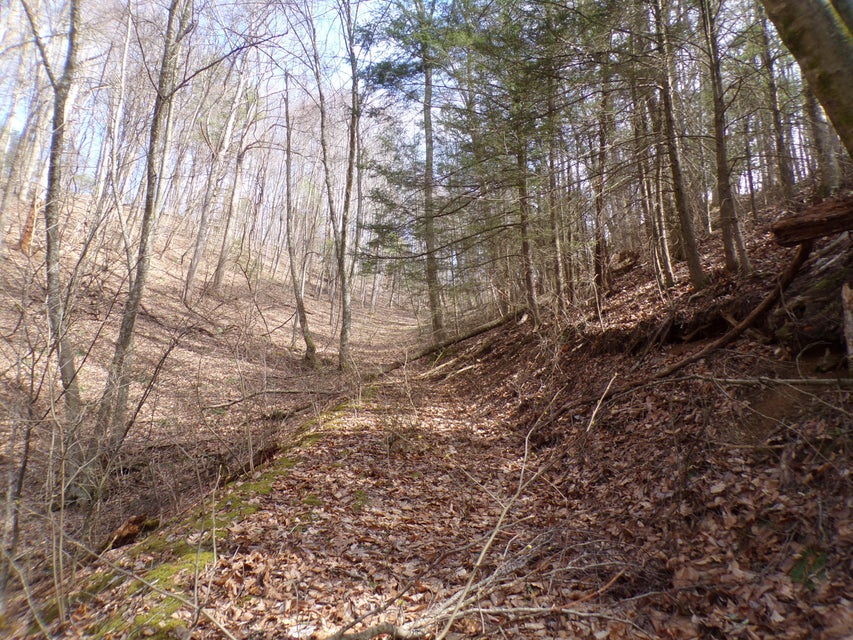 Photo #8: Tbd Stage Road