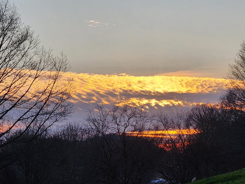 Photo #40: 30082 Smyth Chapel Rd Road