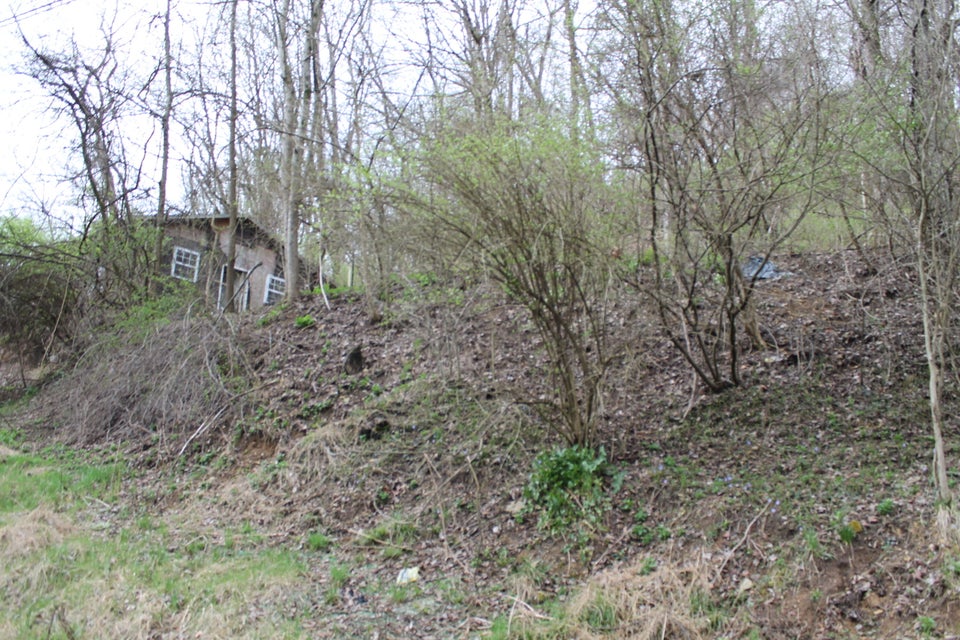 Photo #5: 57 Andover Drive