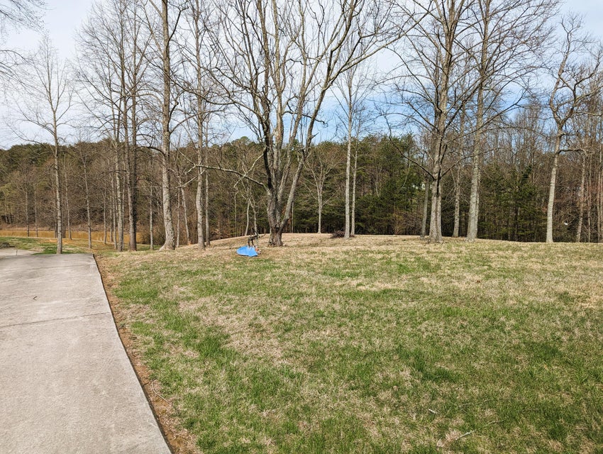 Photo #13: 260 Cooter Way