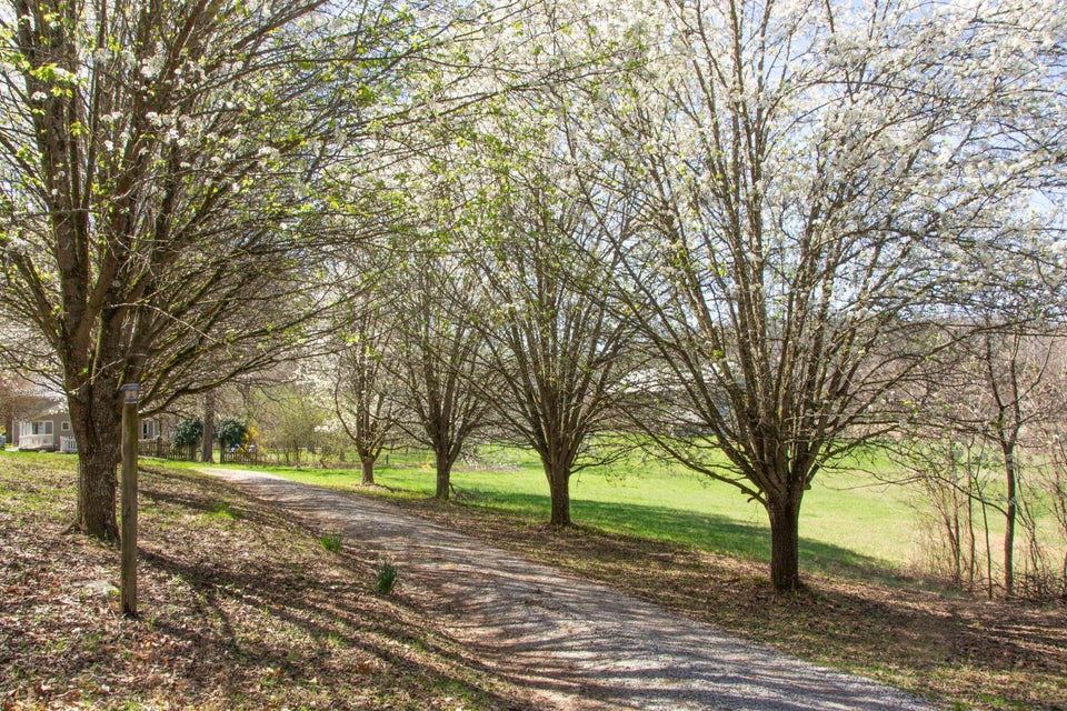 Photo #37: 2005 Brittontown Road