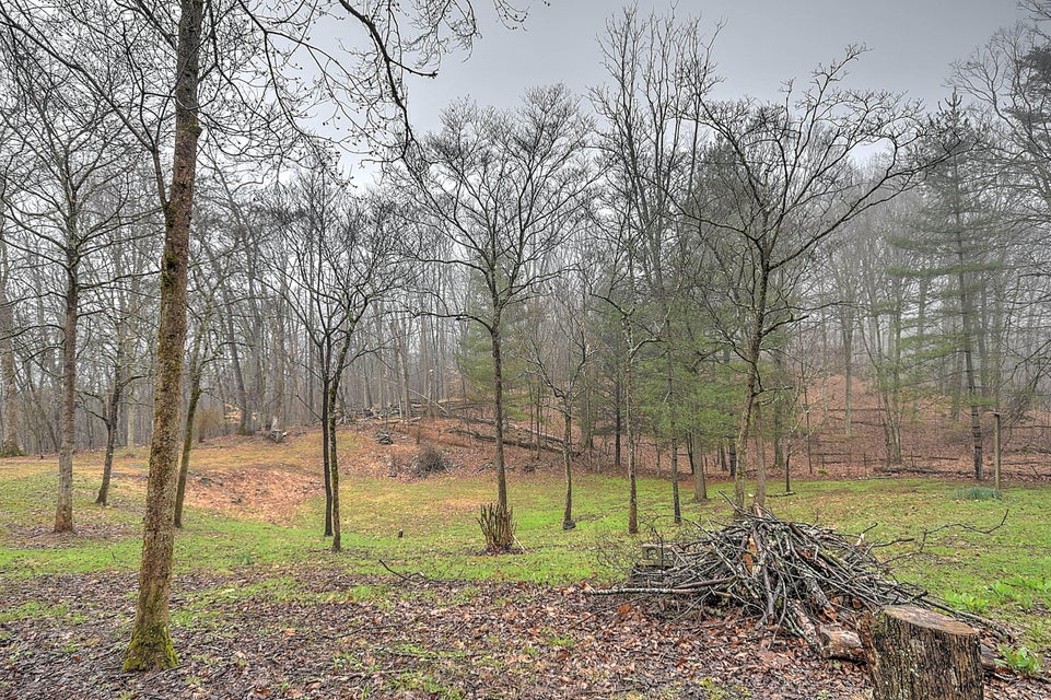 Photo #2: 285 Lily Ln