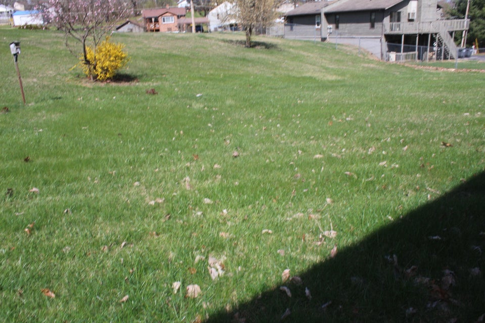 Photo #9: 470 Allen Drive
