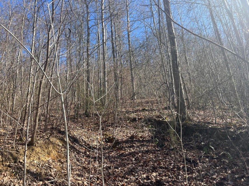Photo #12: 00 Ben Hill Road