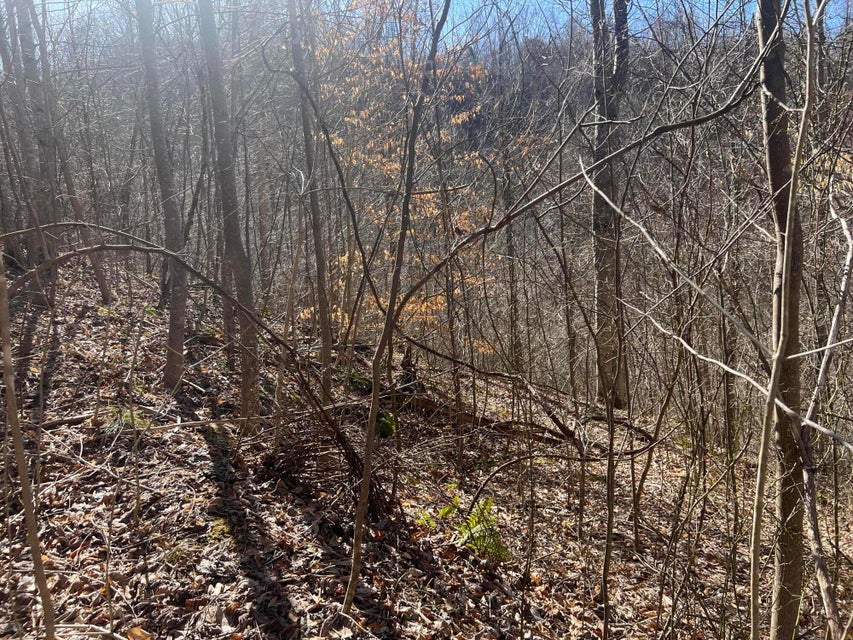 Photo #14: 00 Ben Hill Road