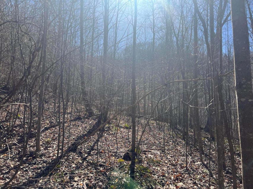 Photo #18: 00 Ben Hill Road