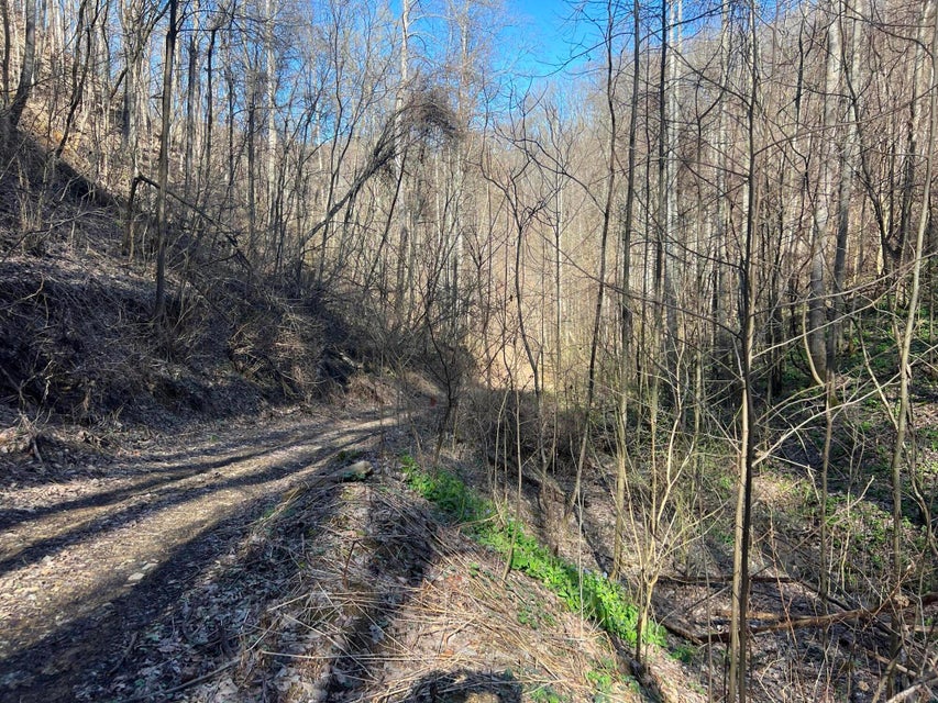Photo #33: 00 Ben Hill Road