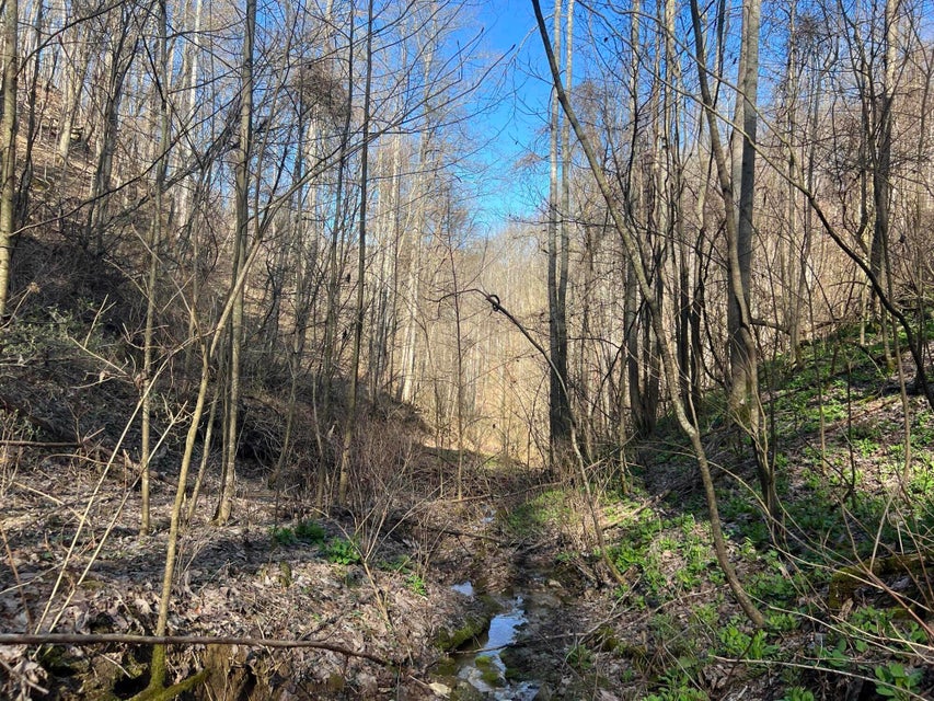 Photo #39: 00 Ben Hill Road