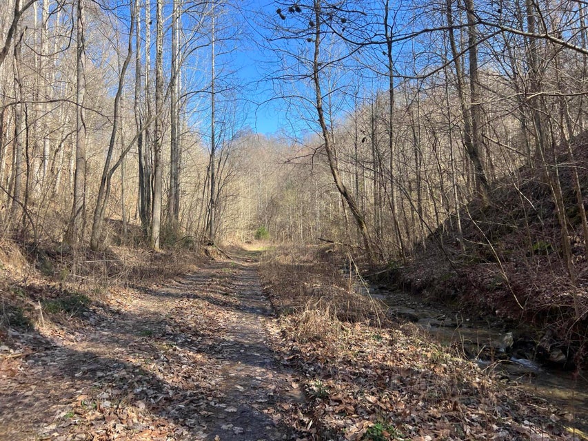 Photo #50: 00 Ben Hill Road