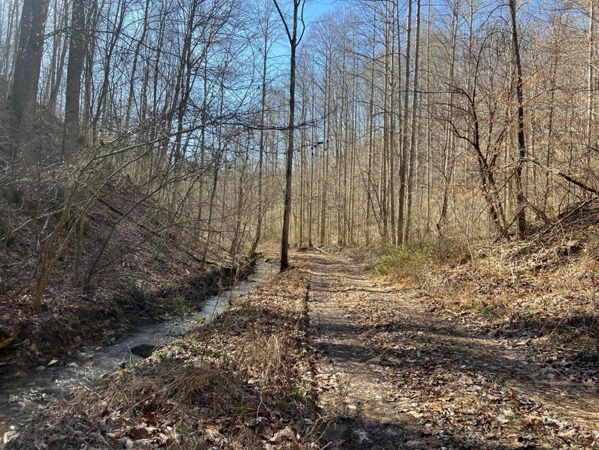 Photo #49: 00 Ben Hill Road
