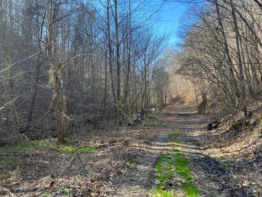 Photo #60: 00 Ben Hill Road