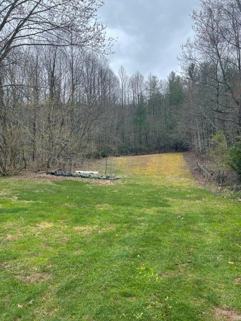 Photo #12: 350 Odom Branch Road