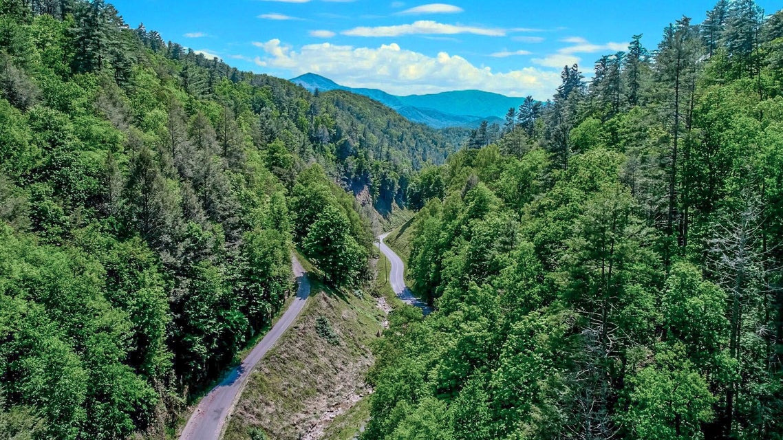 Photo #2: Par. 04.03 Big Creek Road
