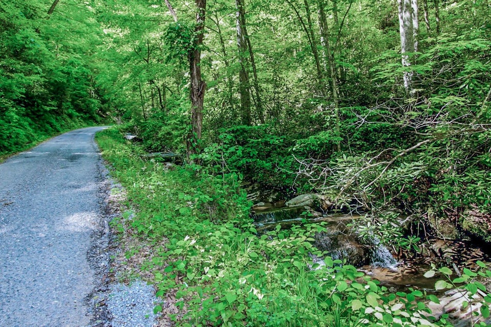 Photo #6: Par. 04.03 Big Creek Road