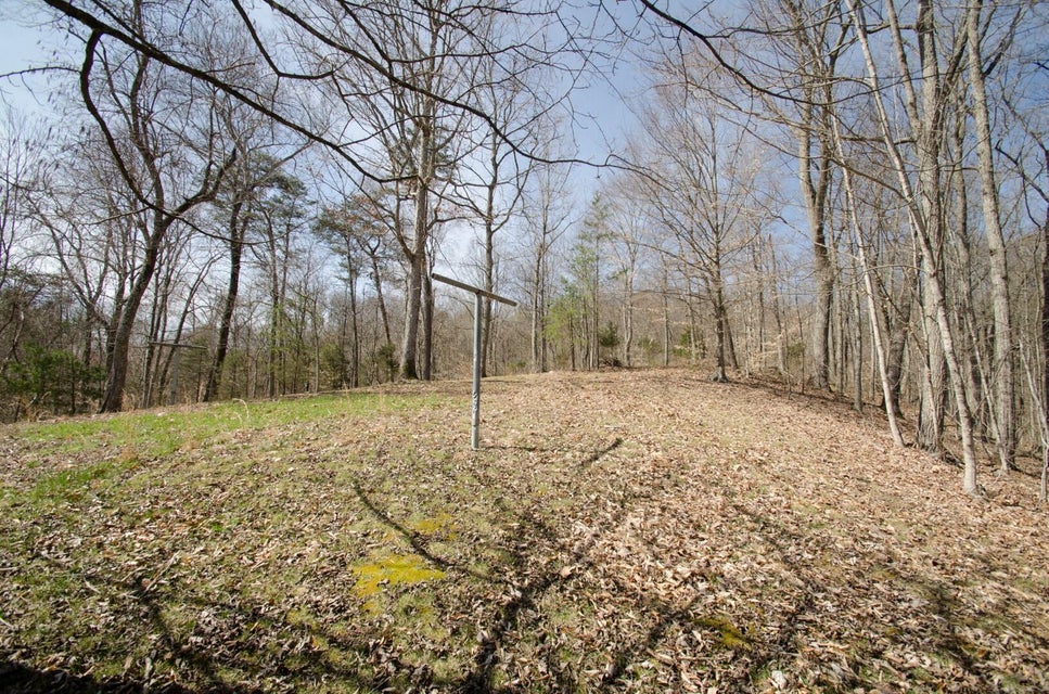 Photo #22: 214 Reesor Hollow Road