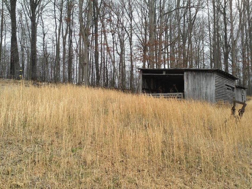 Photo #33: 703 Williams Hollow Drive