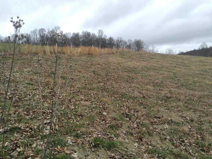 Photo #36: 703 Williams Hollow Drive