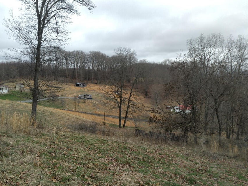 Photo #37: 703 Williams Hollow Drive