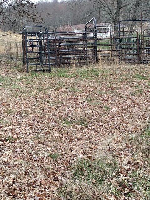 Photo #42: 703 Williams Hollow Drive