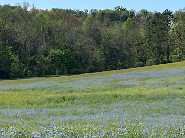 Photo #6: 00 River View Dr Lot 88 
