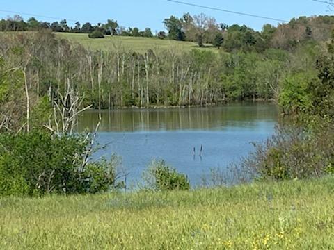 Photo #3: 00 River Pointe Dr Lot 94