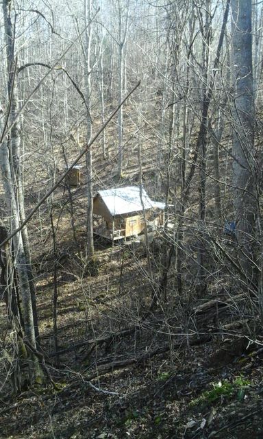 Photo #2: * Old Clarktown Road