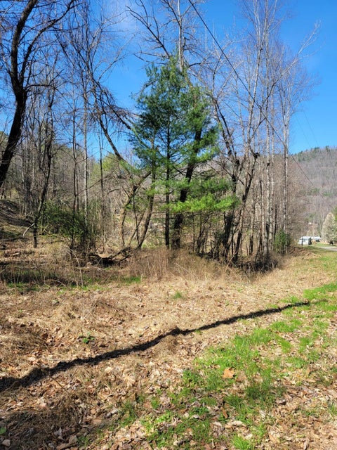 Photo #8: 328 Wayne Laws Road