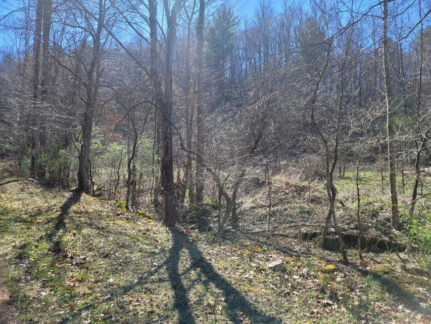 Photo #10: 328 Wayne Laws Road