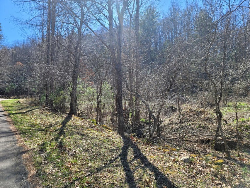 Photo #11: 328 Wayne Laws Road
