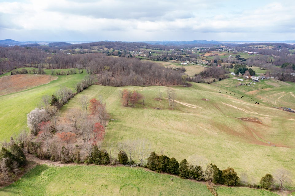 Photo #18: 720 Lowell Jones Road